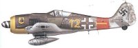Fw190Muschi.jpg