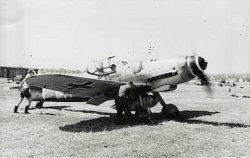 StampMe109G-a.jpg