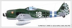 Weisse18Fw190A.jpg