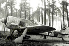 Fw190A-rote1.jpg