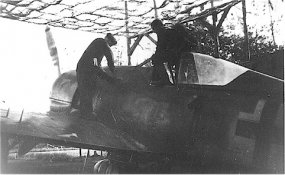 Rote1xFw190A7.jpg