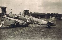 Bf109G6-weisse2-sw18.jpg