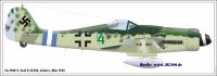 Fw190Dgruene4-c.jpg