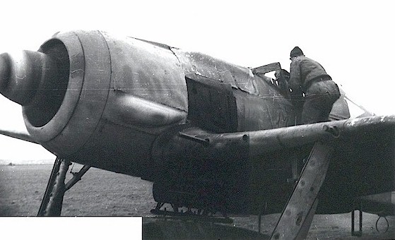 Fw190Moidlx.jpg