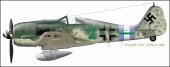 Fw190A8gruene2_2008-01-25.jpg