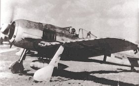 BauerRote3x.jpg