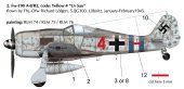 GrafikLfgenFw190A.jpg