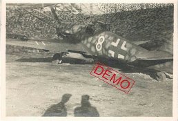 gelbe 8 .jpg