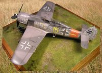 Gelbe-15-fw190a8.jpg